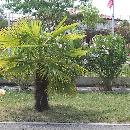 Bed & Breakfast La Garona