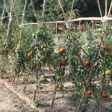 La Garona Saint-Nicolas-de-la-Grave