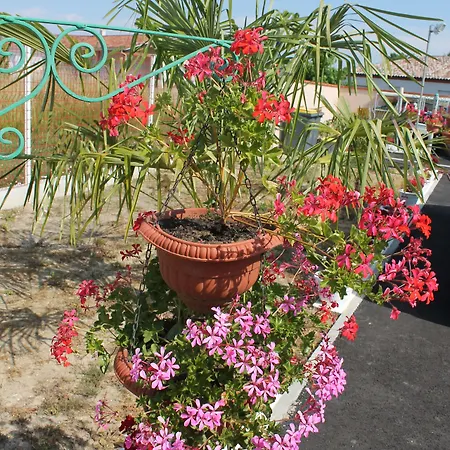 La Garona 3* Saint-Nicolas-de-la-Grave