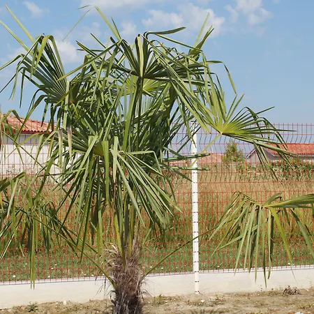 La Garona Saint-Nicolas-de-la-Grave