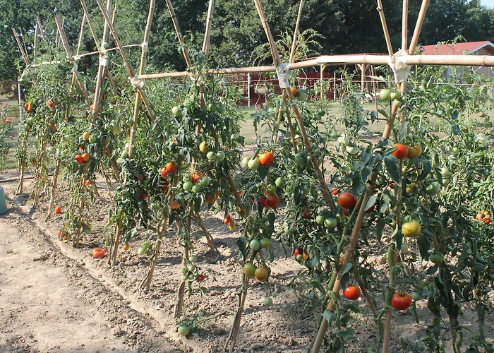 La Garona Saint-Nicolas-de-la-Grave