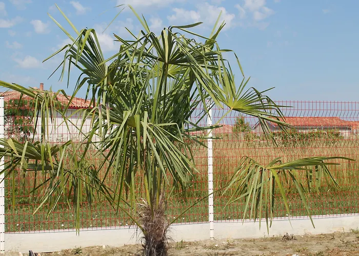 La Garona Saint-Nicolas-de-la-Grave